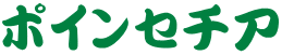 �X���̉�