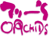 �}���['s ORCHIDS