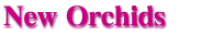 ������ORCHID
