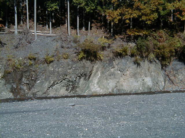 �t�H�b�T�}�O�i