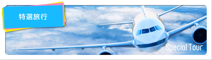 特選旅行