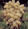 SIhtBK[